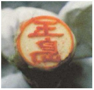 着衣