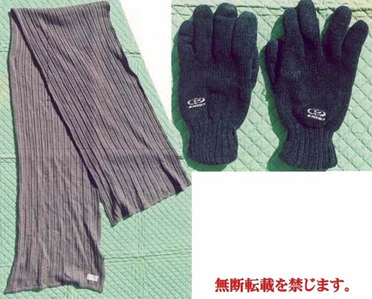 着衣