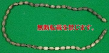 着衣