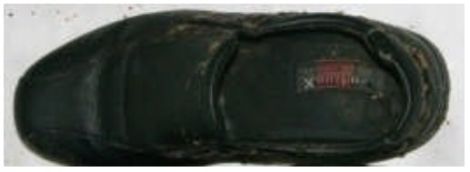 着衣