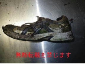 着衣
