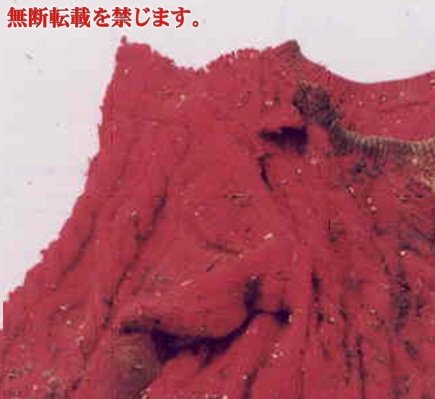 着衣