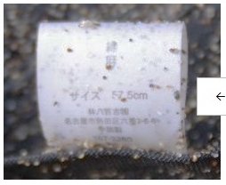 着衣