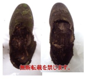 着衣