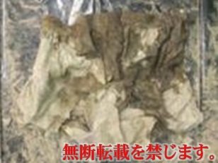 着衣