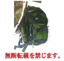 着衣