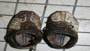 着衣