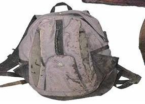 着衣