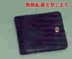 着衣