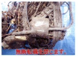 着衣