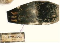 着衣