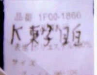 着衣