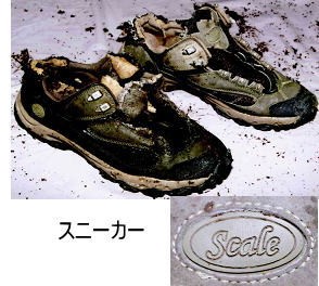 着衣