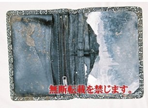 着衣