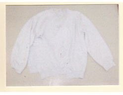 着衣