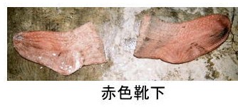 着衣