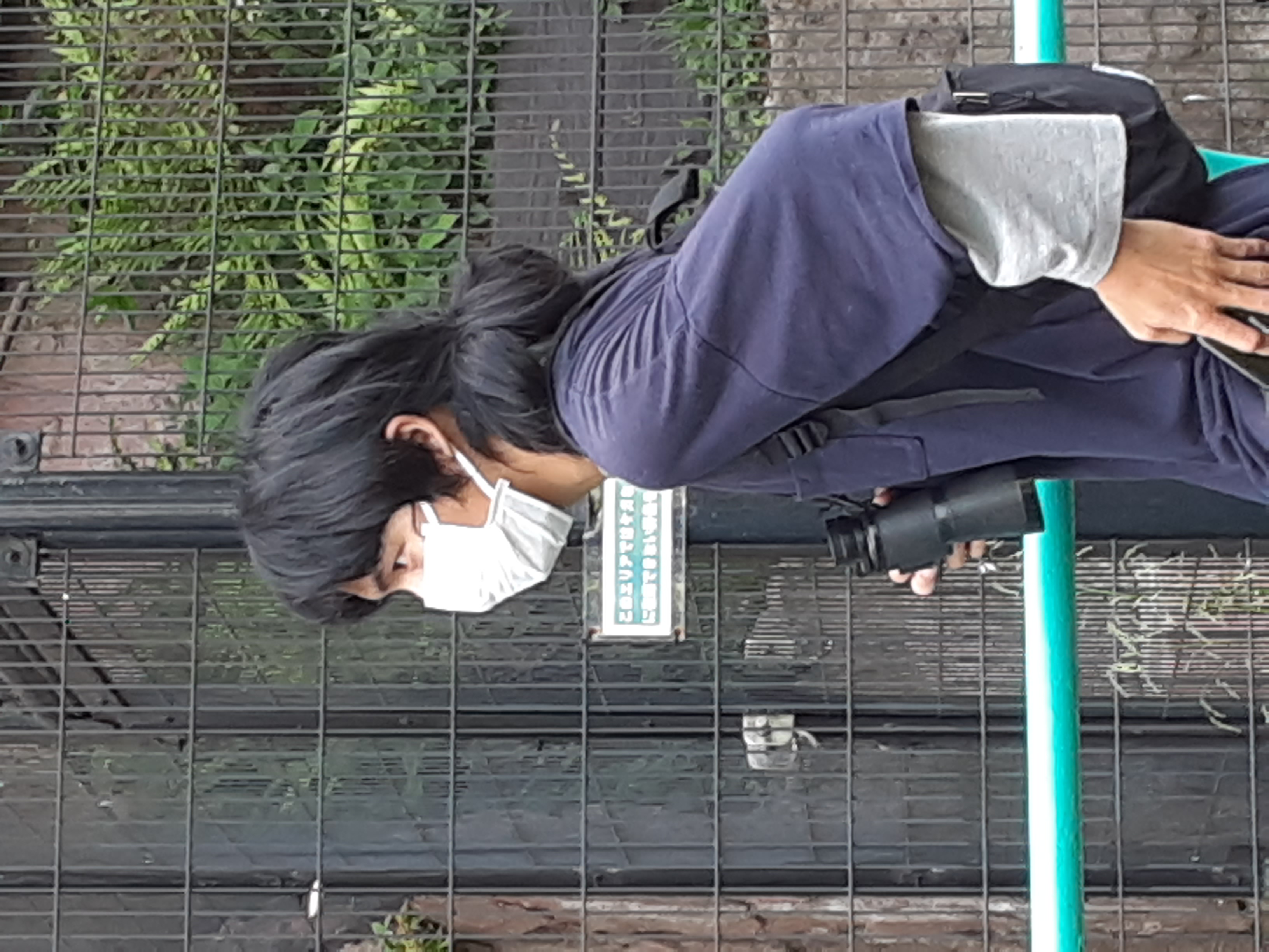 スレッド画像